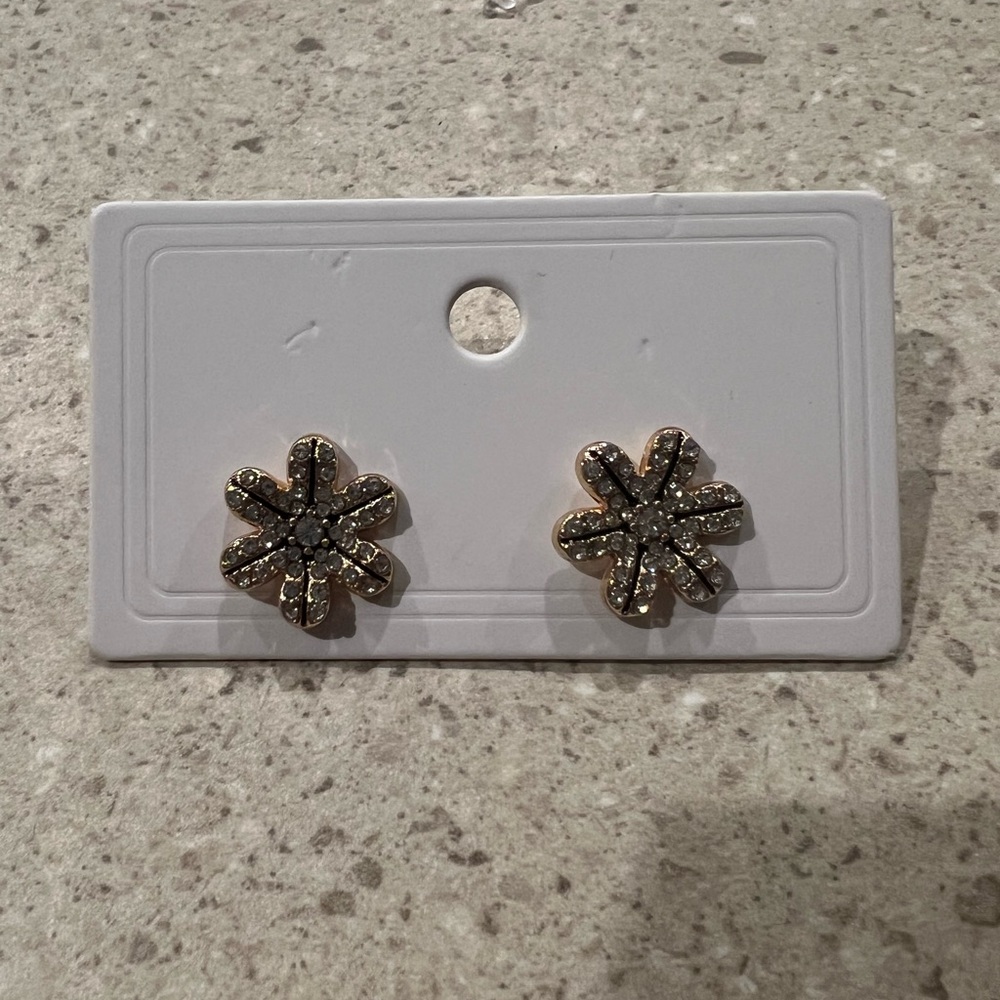 Fashion Earrings